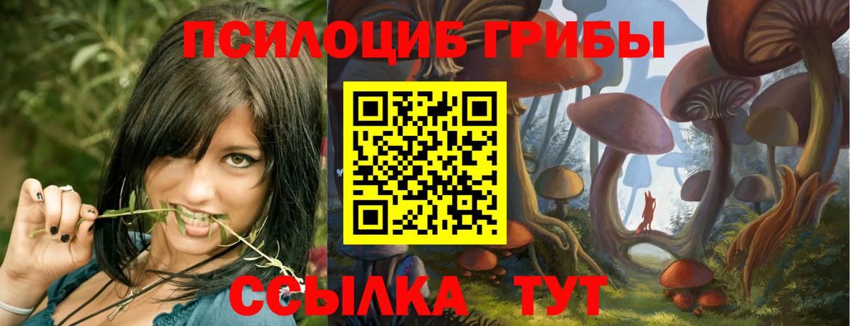 Астрахань  Псилоцибиновые грибы Cubensis  Вход с VPN 