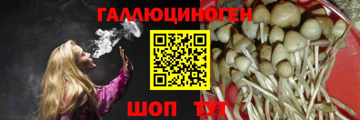 Псилоцибиновые грибы ЛСД Астрахань